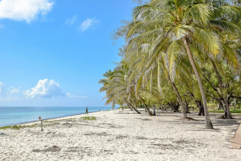 A pristine white sand beach lined with numerous palm trees and clear blue water under a sunny sky.