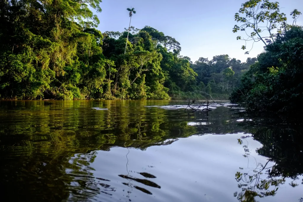 A tranquil river or stream winding through a dense tropical rainforest, with reflections on the water.