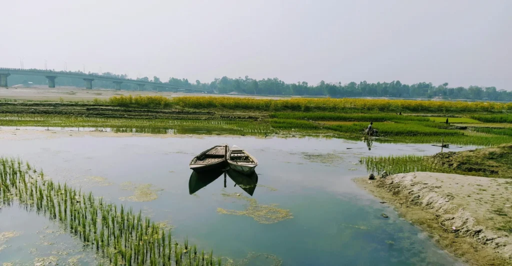 Boat in a flooded field