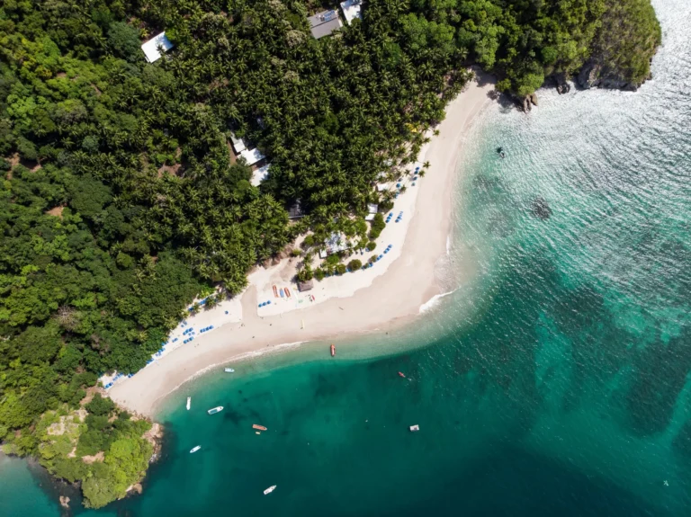 An aerial view of a white sand beach bordering a dense green forest and clear blue water.