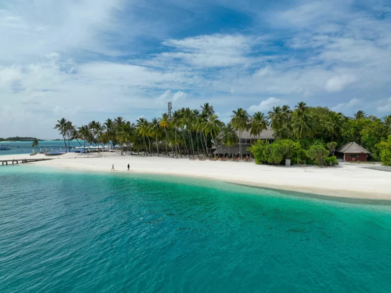 An aerial view of a pristine white sand beach curving along a tropical island with palm trees and clear blue water.