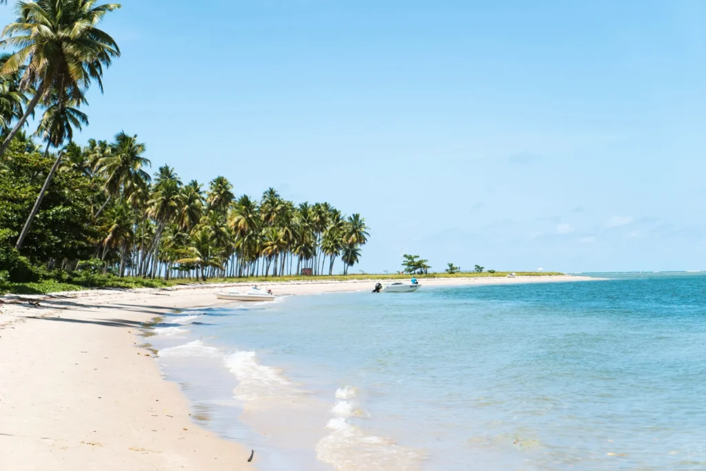 A wide, idyllic beach with white sand, numerous palm trees, and calm, clear turquoise water.