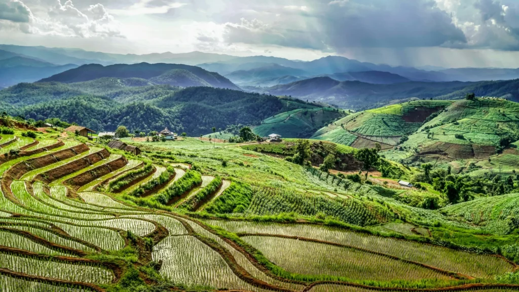 A panoramic view of terraced rice fields winding through rolling green hills under a cloudy sky.