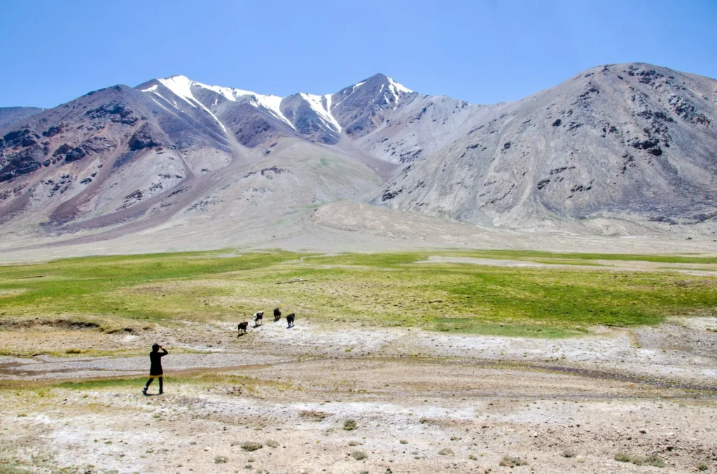 Mountain landscape with green plains
