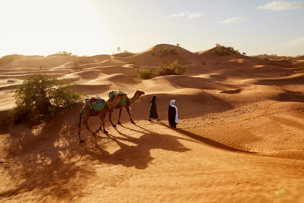 A vast desert landscape with sand dunes, a camel caravan, and two figures in the distance under a bright sky.