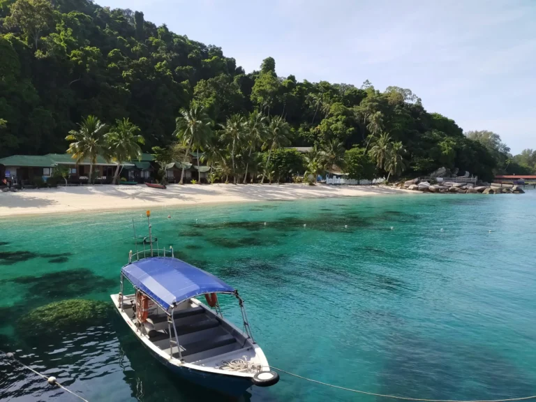 An aerial view of a boat on clear blue water near a tropical beach with lush green trees