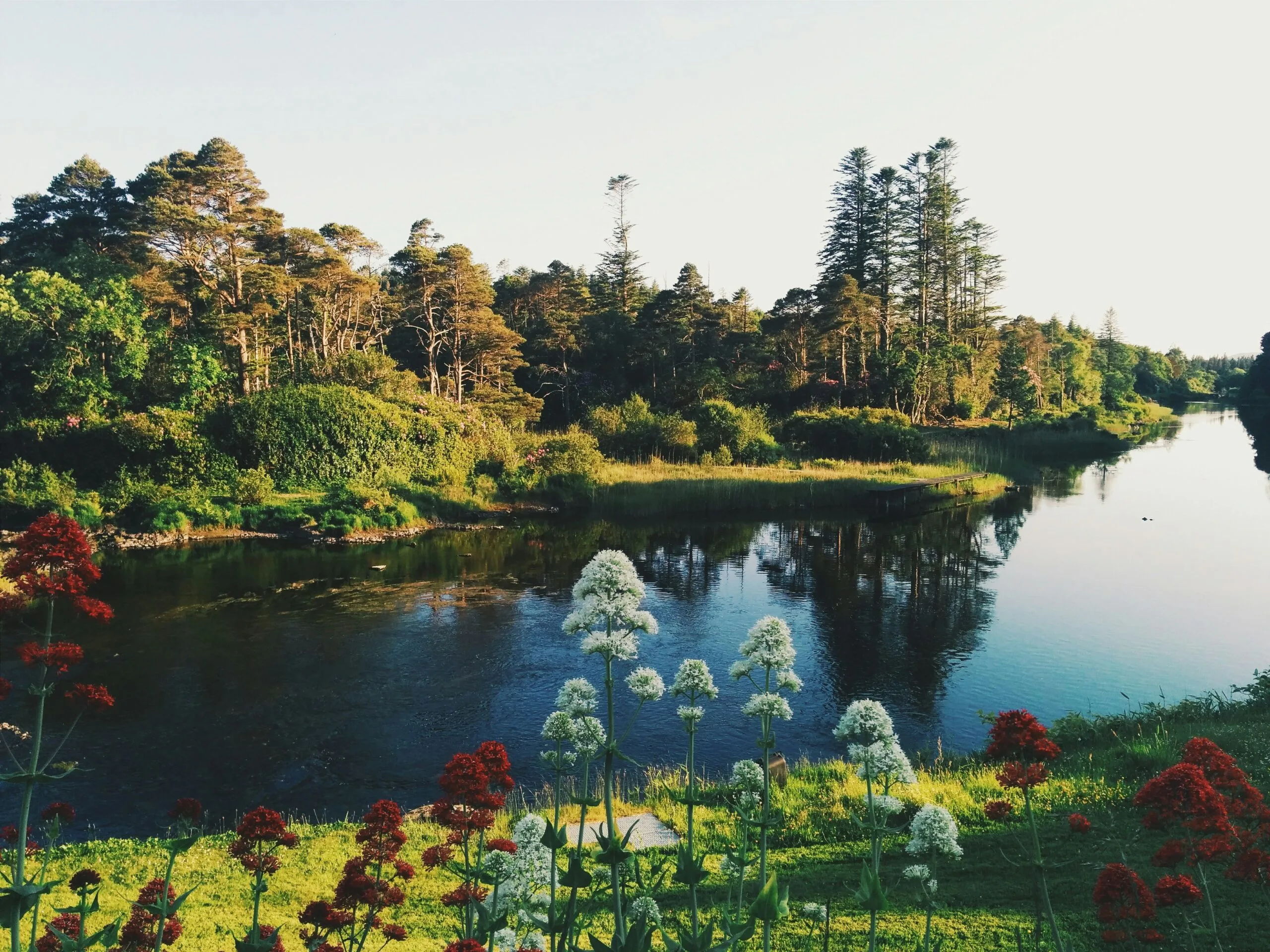 A tranquil lake reflecting surrounding trees with some autumn foliage, and a small fountain.