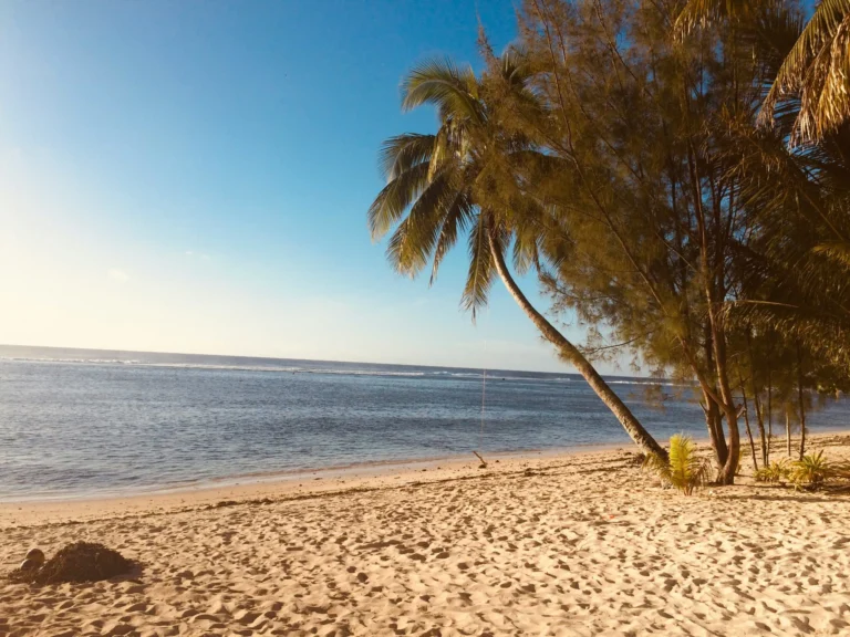 A sandy beach with palm trees and clear blue water, with a boat visible in the distance.