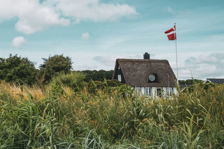 A traditional thatched-roof house with a Danish flag, surrounded by tall grass.