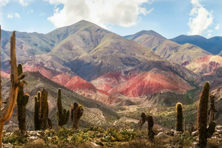 A desert landscape with colorful, layered mountains and tall cacti in the foreground.