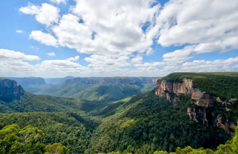 A panoramic view of a vast, forested valley with rugged cliffs under a cloudy sky.