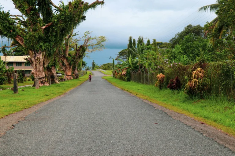 A paved road winds through a lush green landscape with trees and distant hills.