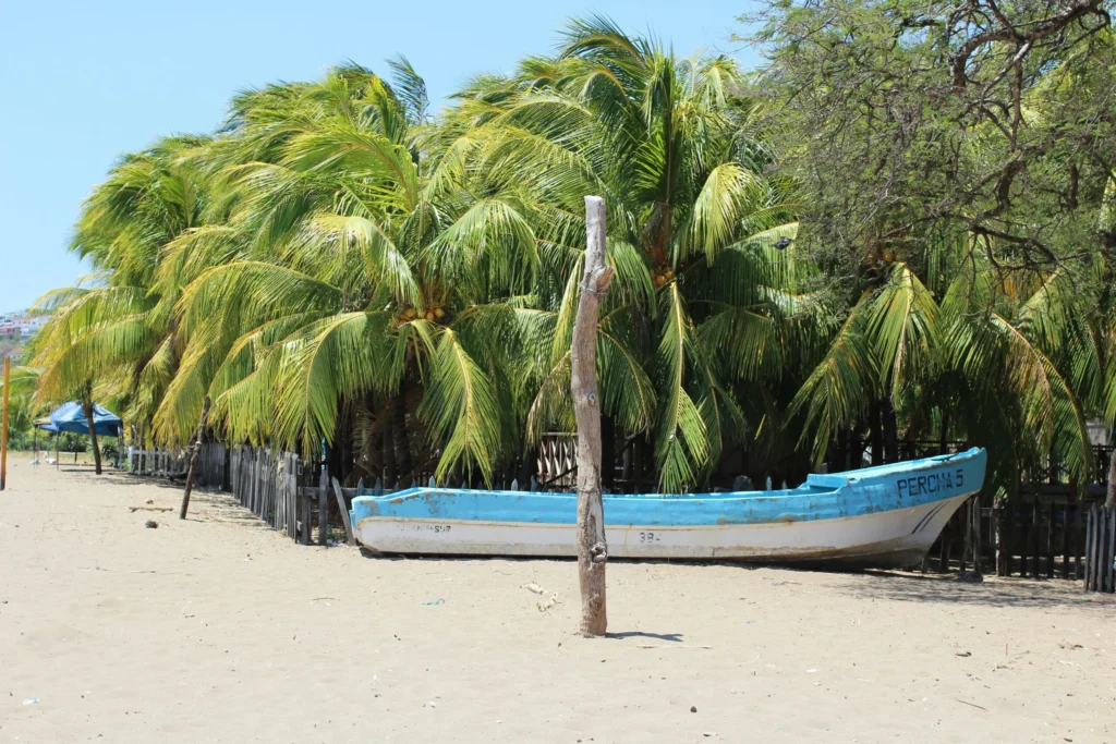 A sandy beach with palm trees and a light blue boat.