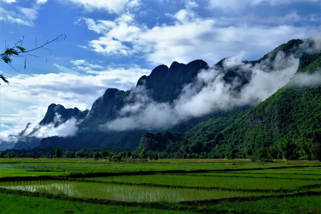 Vast green rice fields with dramatic limestone mountains shrouded in mist in the background, under a blue sky.