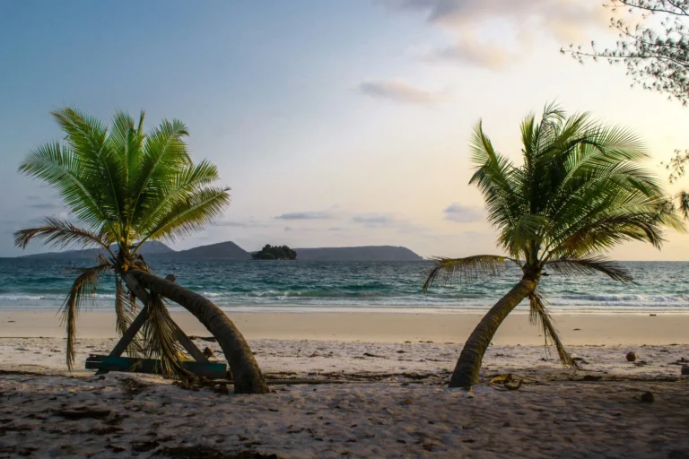 A sunset scene on a tropical beach with two palm trees and gentle waves.