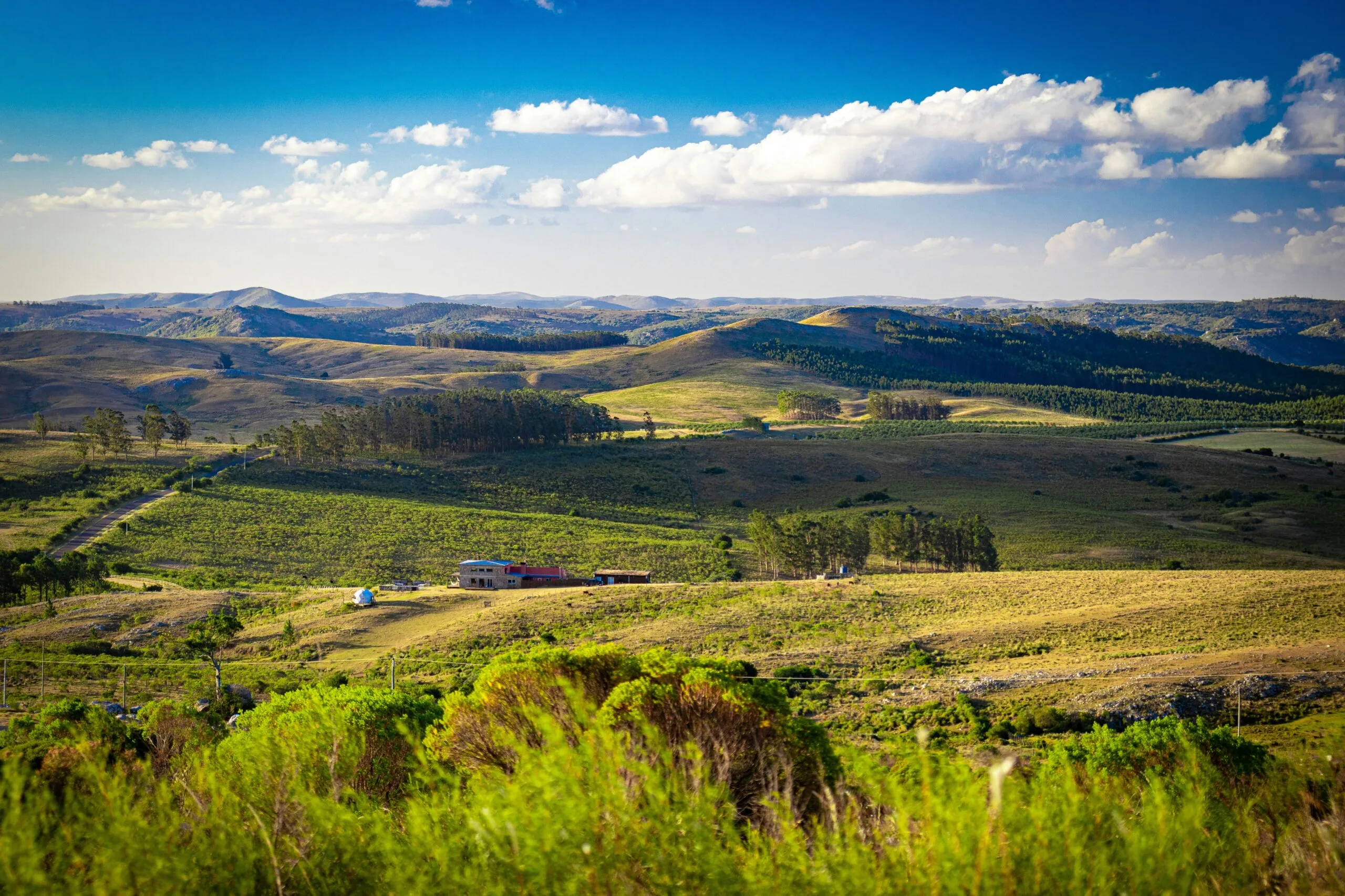 A rolling landscape of green hills and fields under a bright blue sky with scattered clouds.