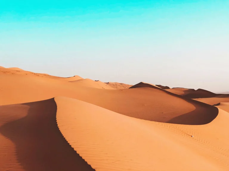 Vast sand dunes under a clear blue sky, creating a desert landscape.