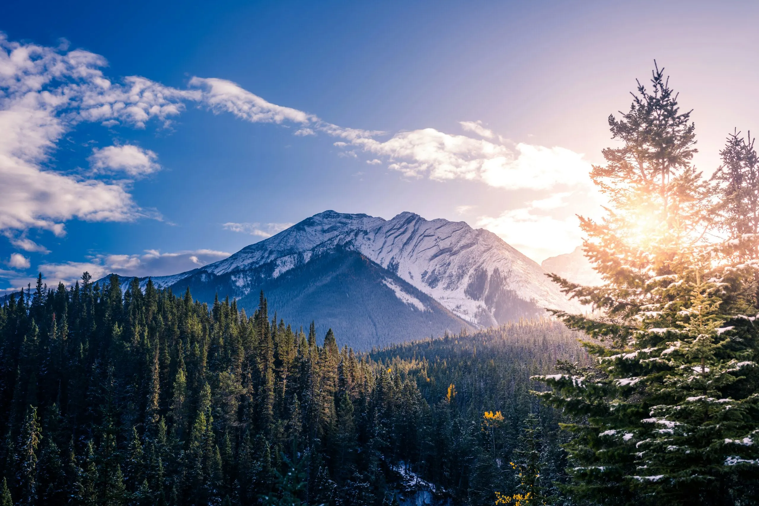 Snowy mountain peaks and forest at sunrise
