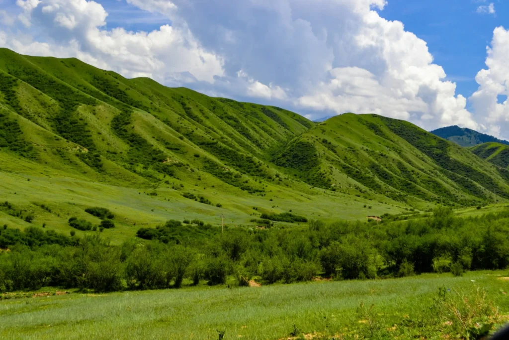 Green rolling hills under a blue sky