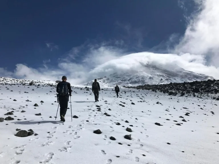 Two people walking through a snowy, mountainous landscape with footprints in the snow.
