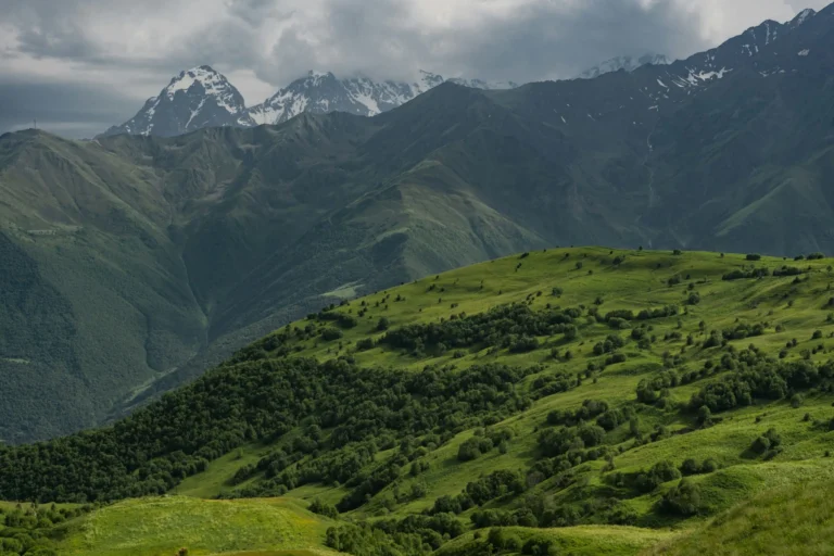 A panoramic view of lush green mountains under a cloudy sky, with some peaks visible in the distance.