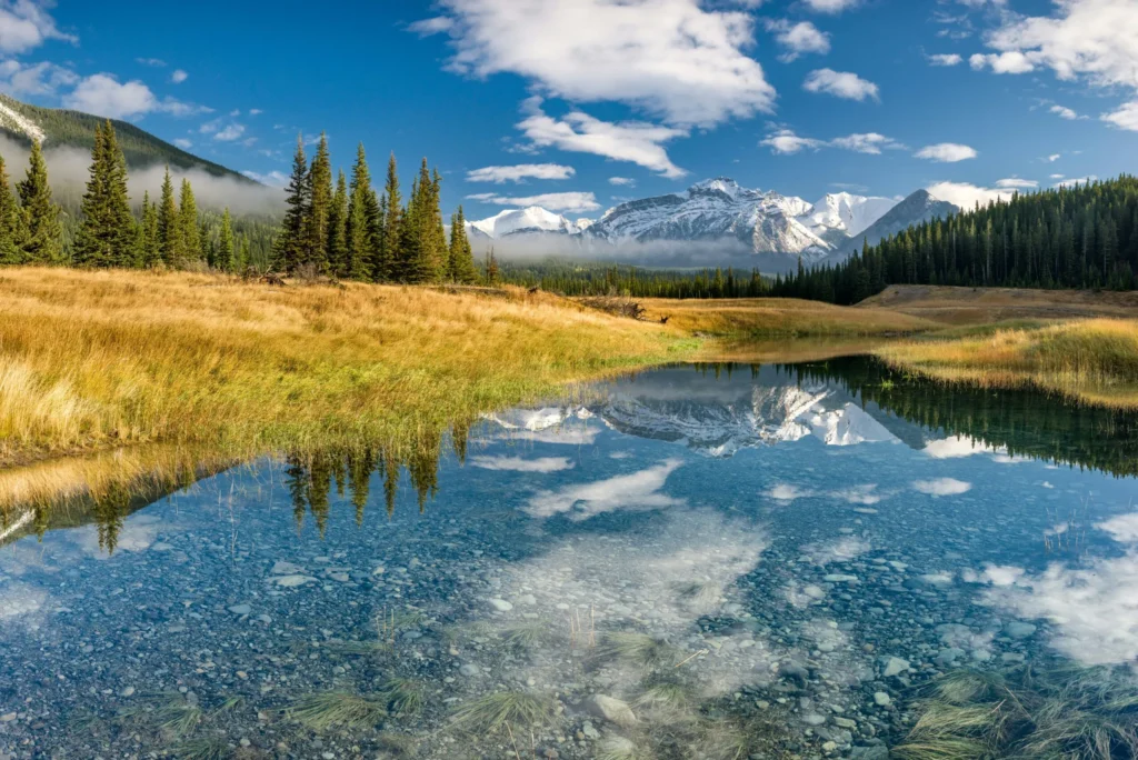 Clear lake reflecting sky and trees