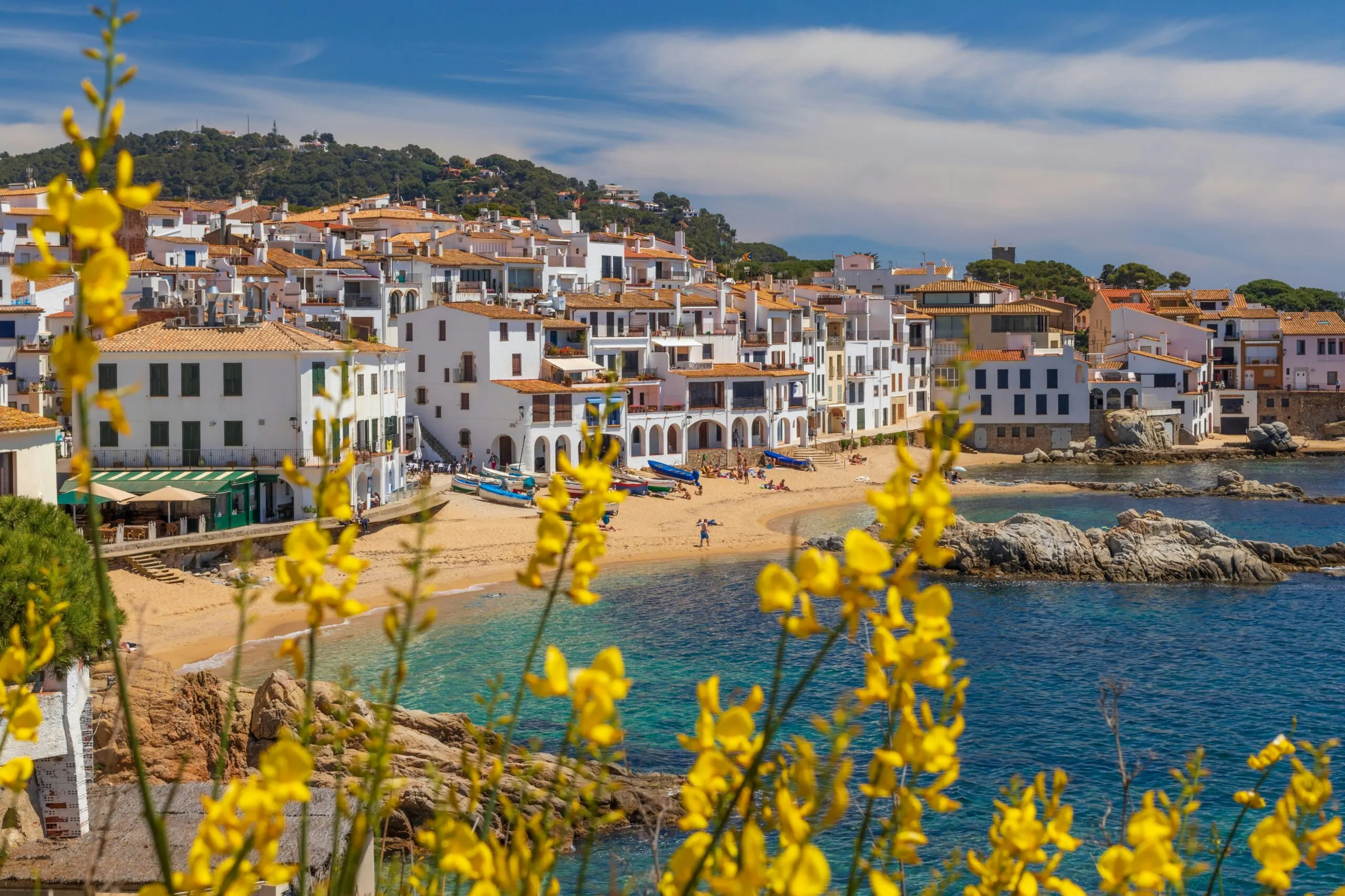 A picturesque coastal town with white buildings, overlooking the sea with yellow flowers in the foreground.