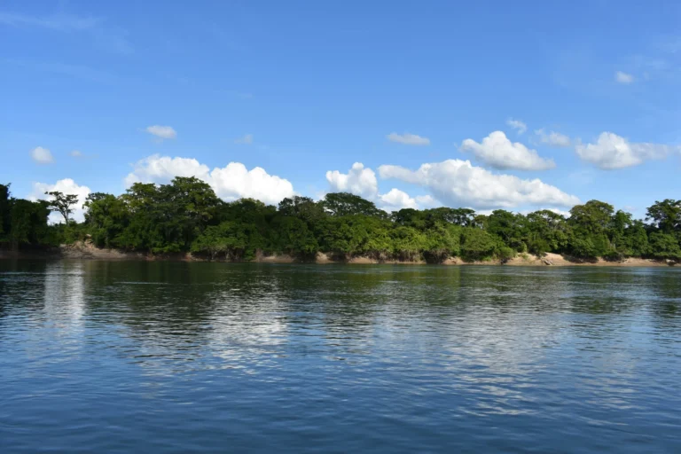 A wide river with a forested bank under a blue sky with some clouds.