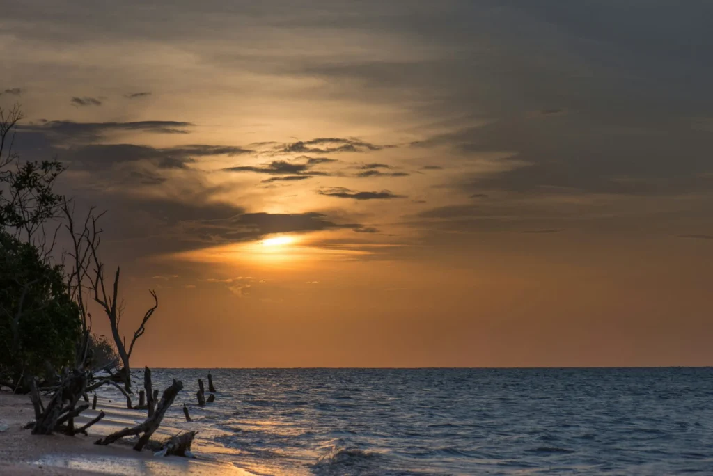A dramatic sunset over a calm ocean, with a tree trunk in the foreground on a beach.