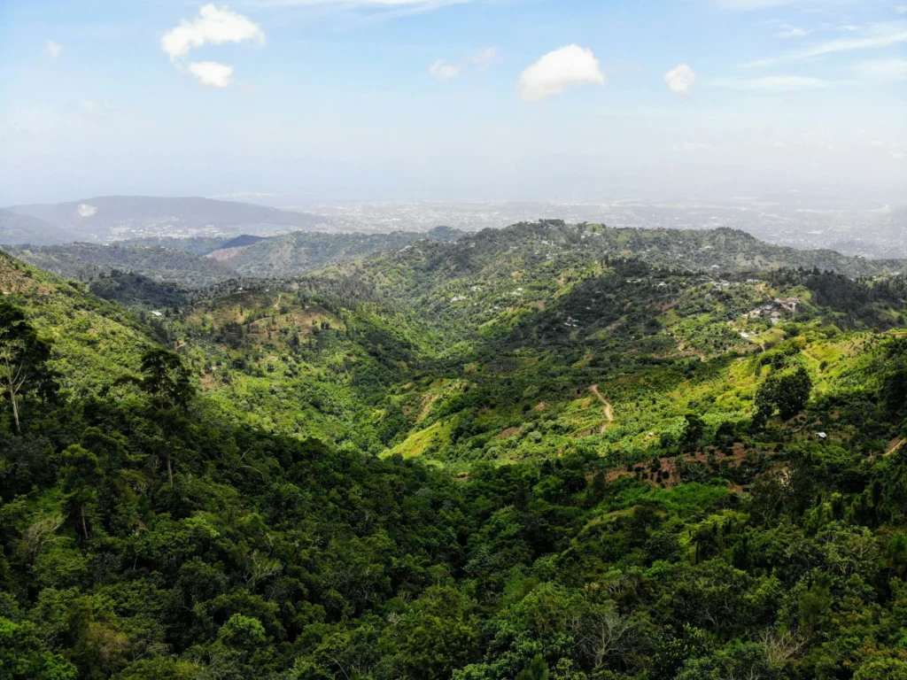 Rolling green hills covered in dense forest under a hazy sky.
