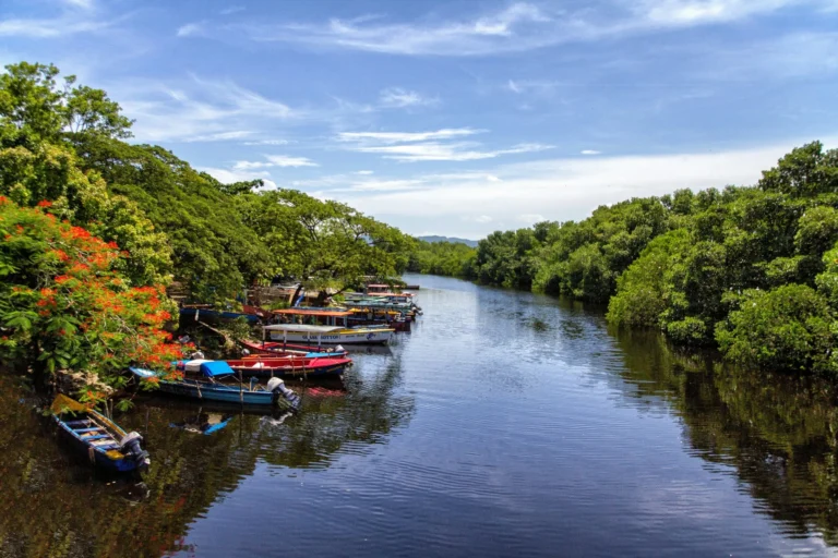 A river winding through dense tropical foliage with colorful boats docked along the banks.