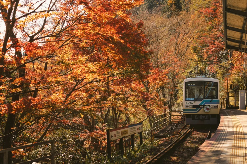 A train with a blue stripe on its front is stopped at a station platform, surrounded by trees with brilliant orange and red autumn leaves.