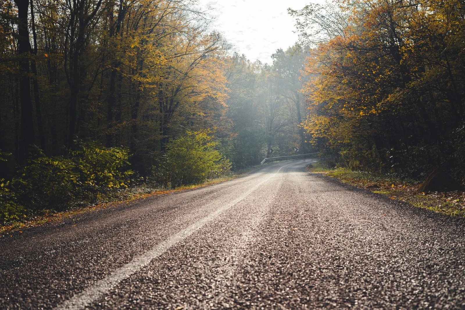 A rural road winding through a sun-dappled forest with autumn trees.