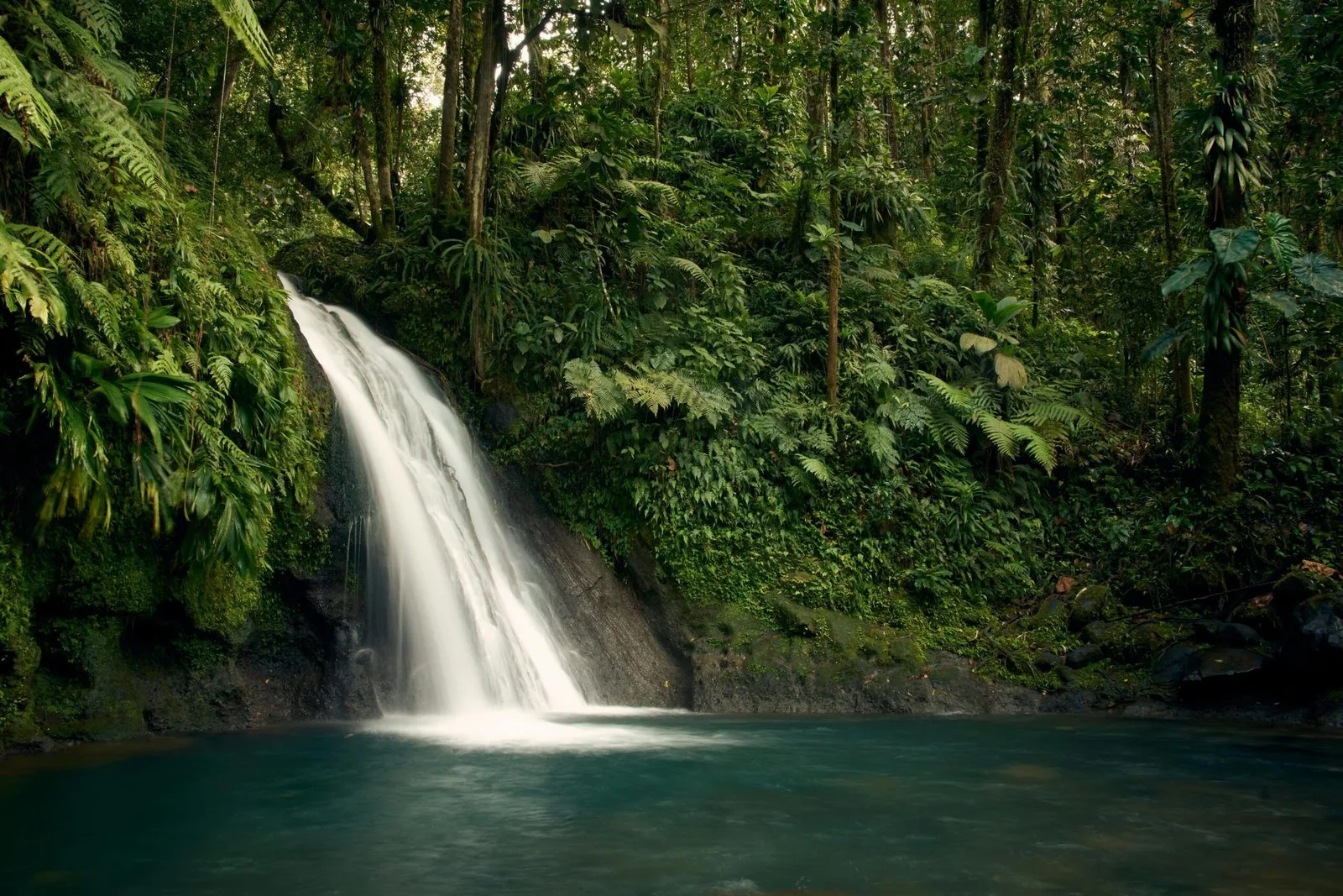 A beautiful waterfall cascading into a clear pool in a lush, green jungle.