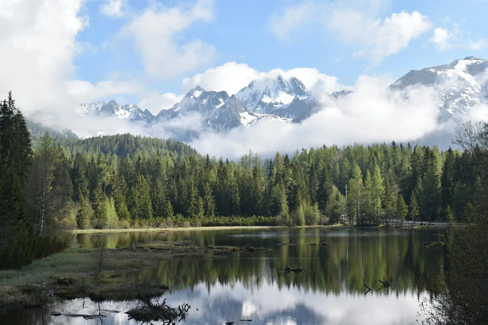A serene lake surrounded by a dense evergreen forest with snow-capped mountains in the background.