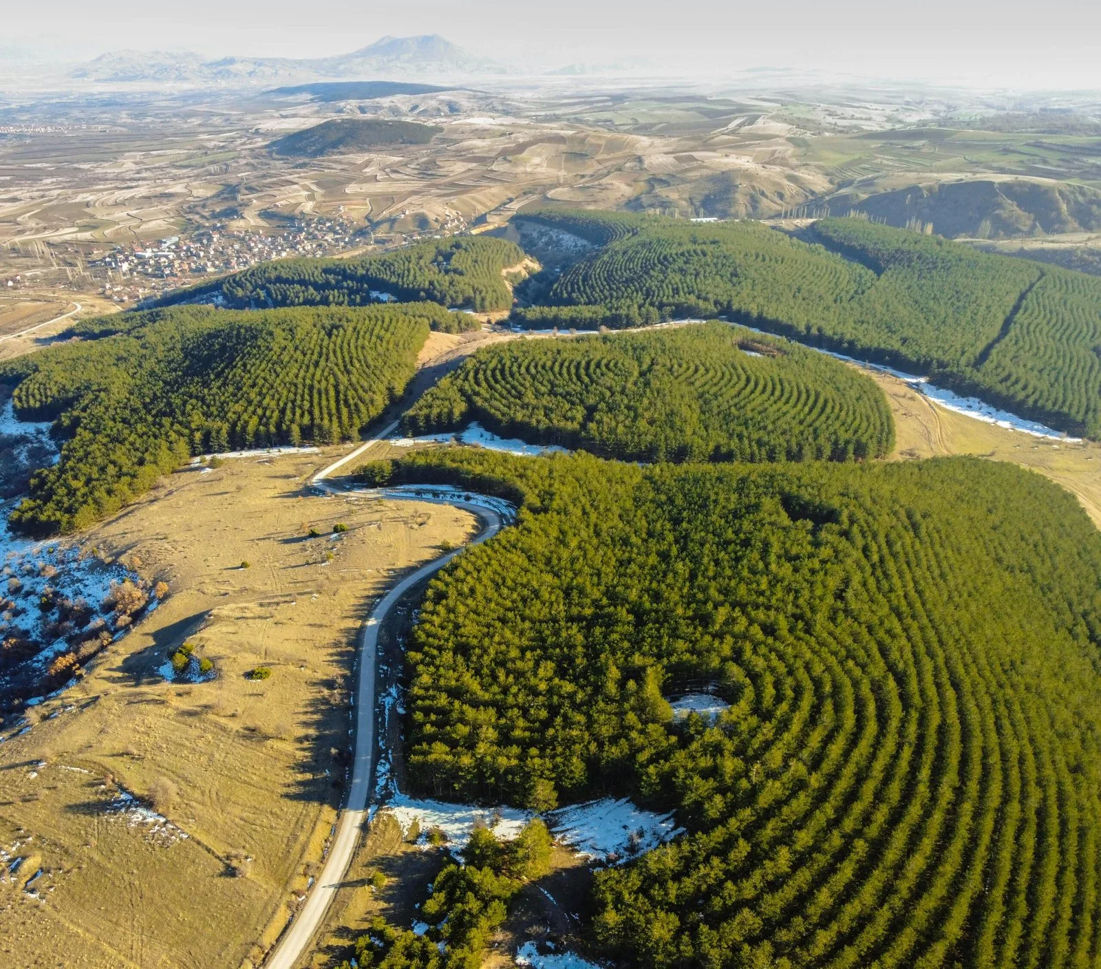 An aerial view of a forest with a river and a road winding through it.