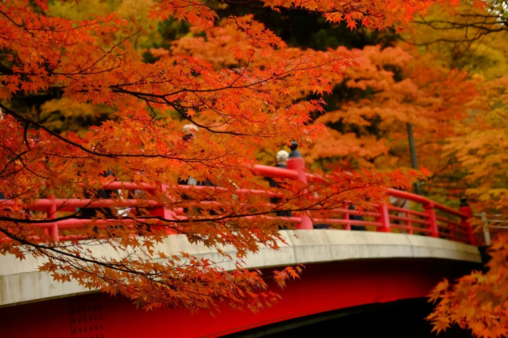 A vibrant red arched bridge is framed by brilliant red and orange autumn leaves. A few blurred figures are visible on the bridge.