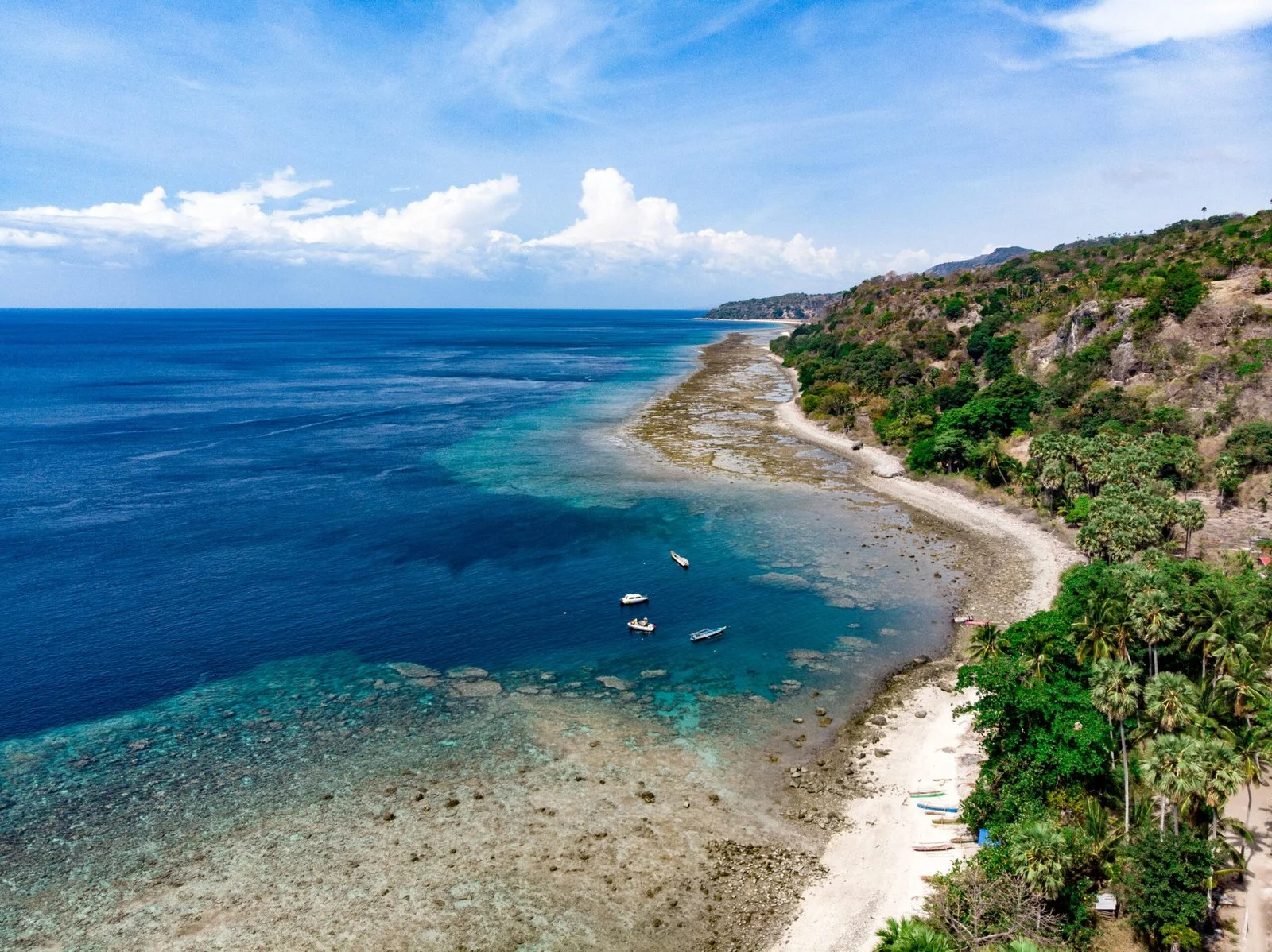 An aerial shot of a tropical coastline with a beach, lush vegetation, and clear blue water.