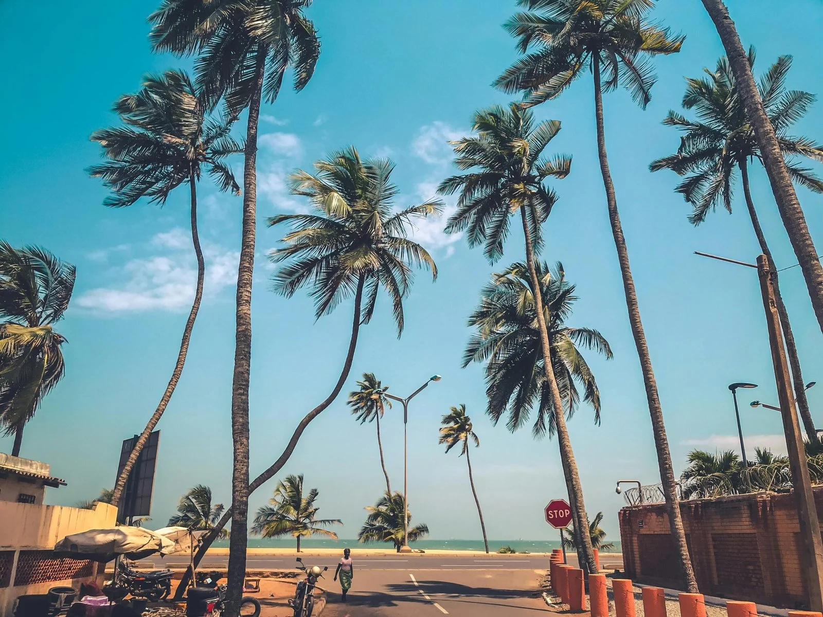A vibrant shot of a tropical beach with tall palm trees and a bright blue sky.