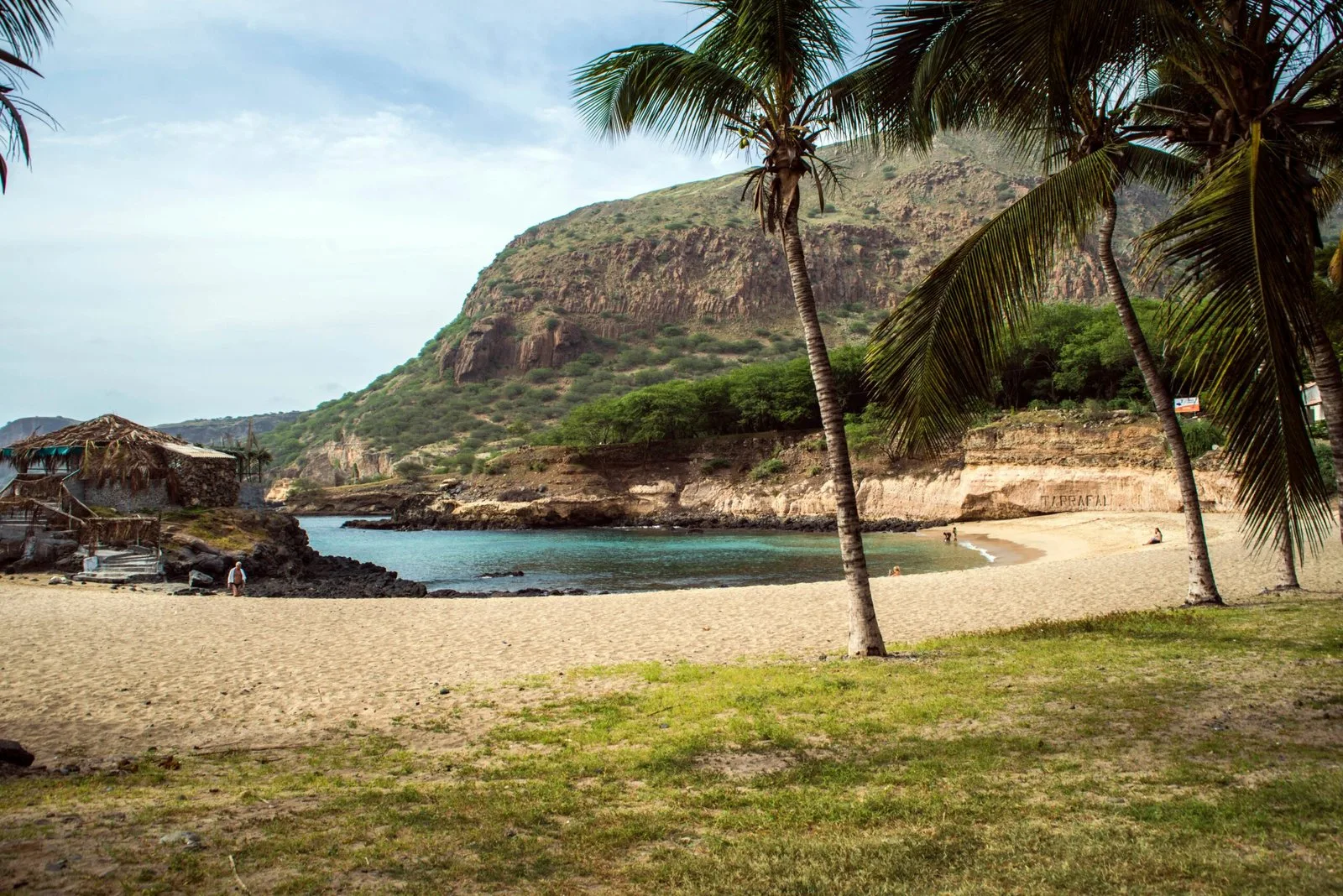 A tropical beach with palm trees and a calm bay.