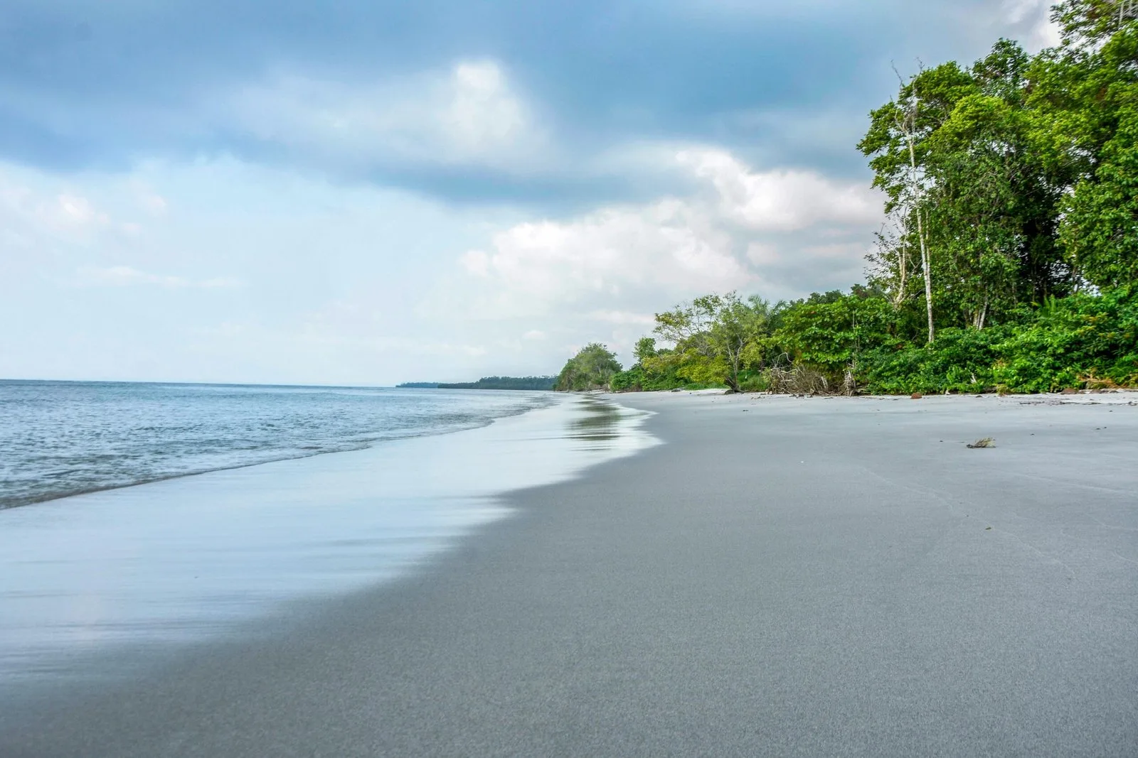 A beautiful, sandy beach with a forest of green trees lining the shore under a cloudy sky.