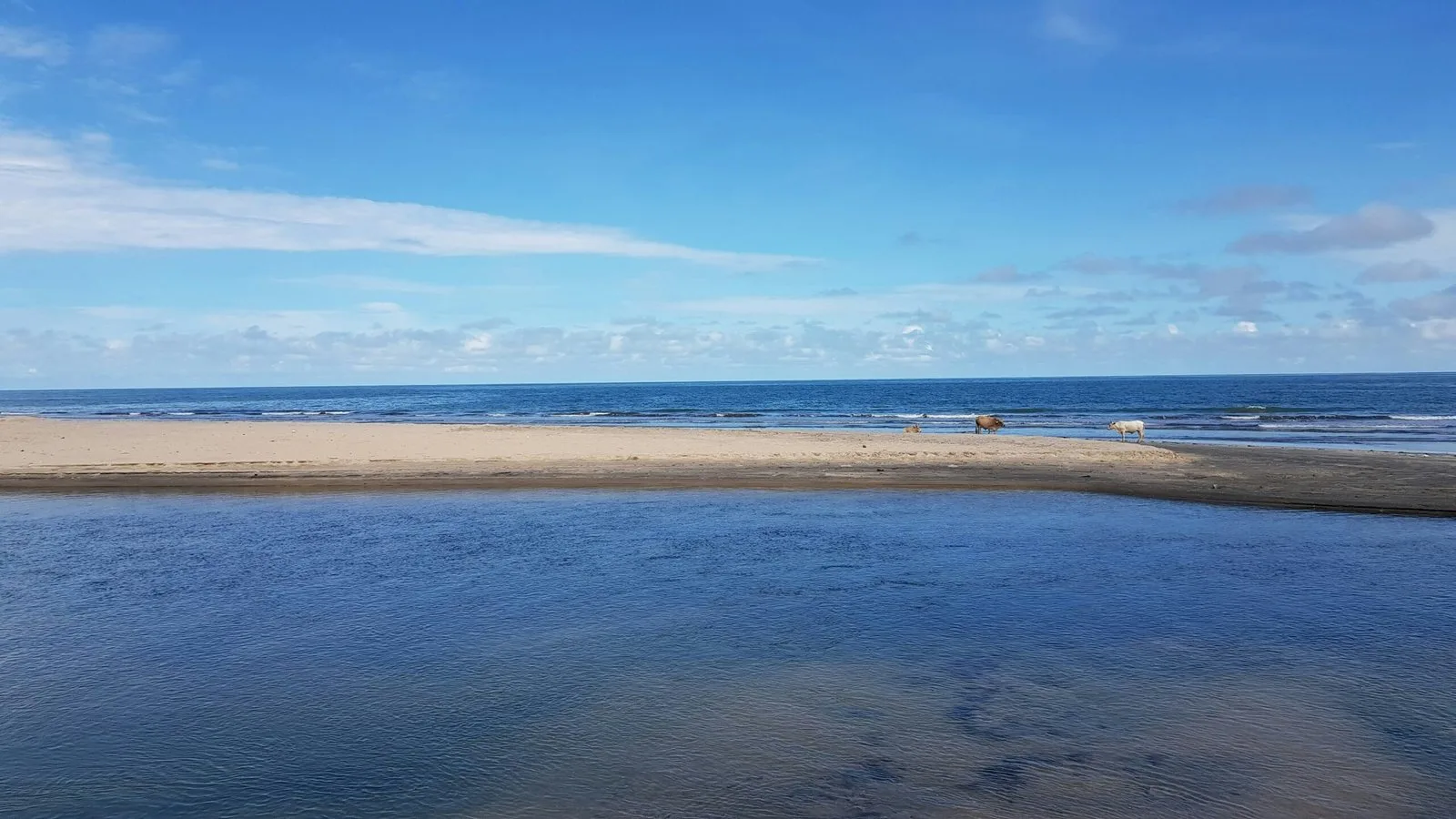 A wide shot of a calm beach with shallow water and a sandbar.