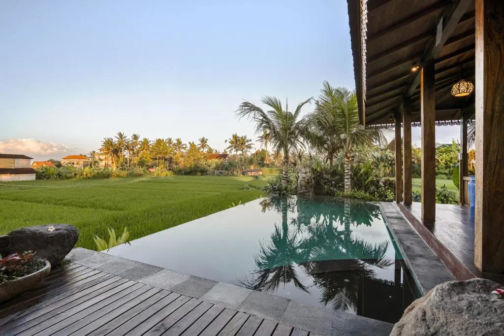 Infinity pool at dawn overlooking green rice fields and palm trees, showcasing serene off-season villa retreat.
