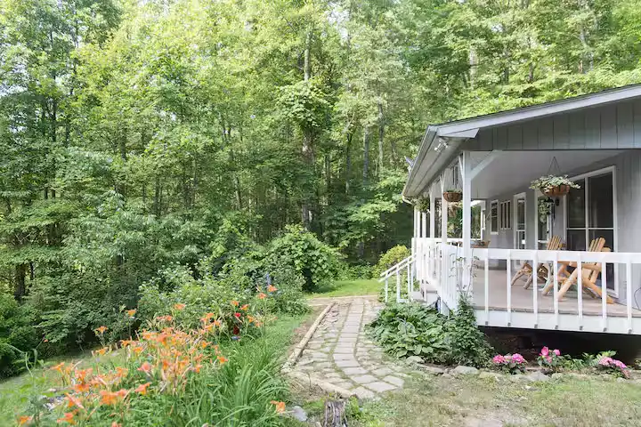 Off-season forest cabin retreat with empty porch chairs, stone path amid wildflowers, peaceful secluded travel getaway