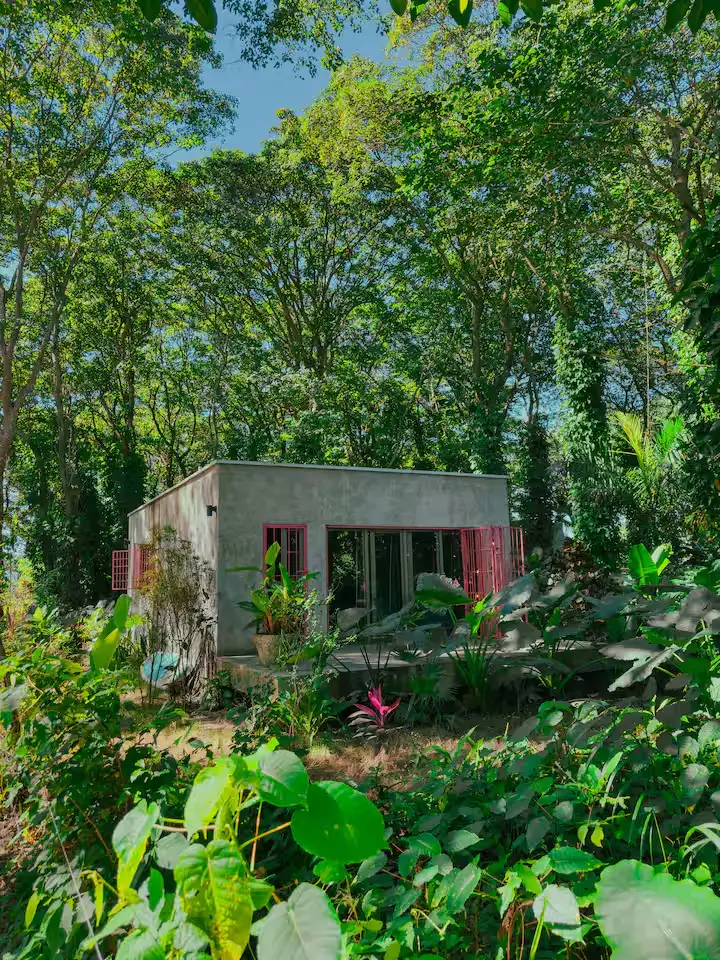 Secluded modern cabin nestled in off-season tropical forest, lush greenery, tranquil travel retreat away from crowds