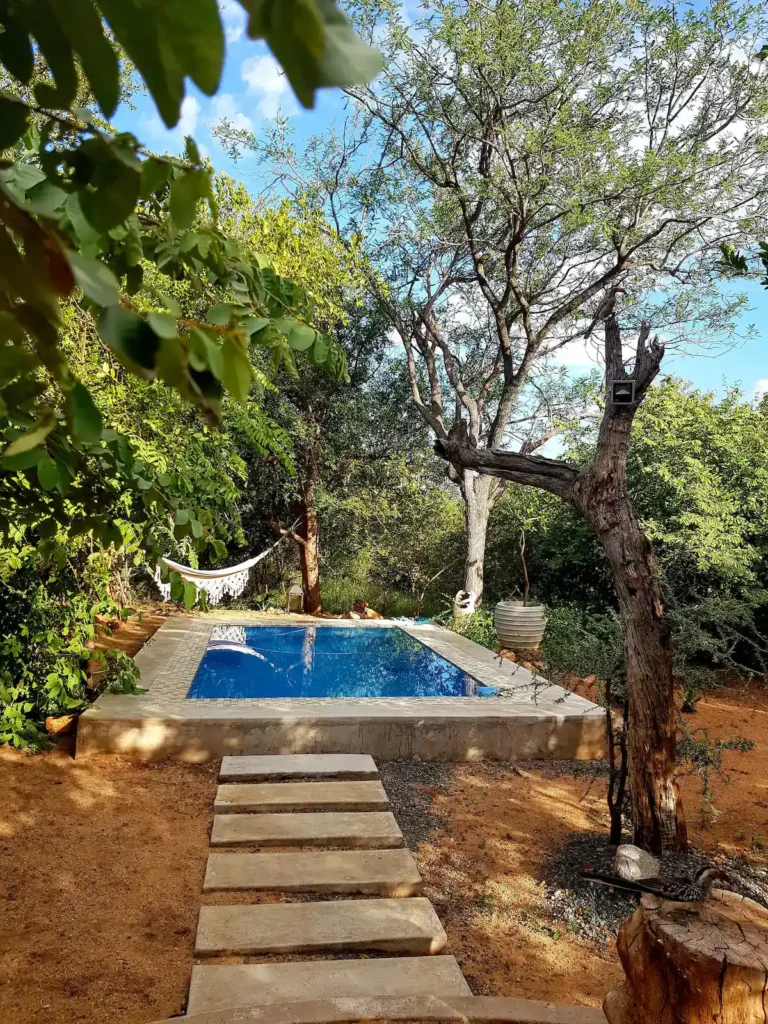 Secluded off-season forest retreat with empty blue plunge pool, hammock and stone path surrounded by leafy trees.
