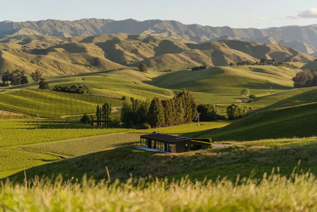 Rolling vineyard hills surrounding a modern travel retreat, bathed in soft off-season sunlight with long golden shadows.