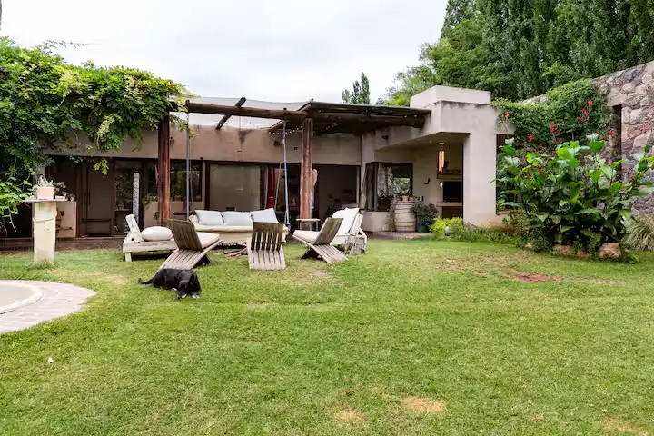 Off-season villa garden patio with empty wooden lounge chairs under vine-draped pergola and a cat resting on the green lawn