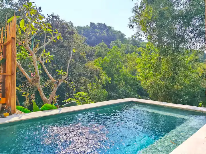Secluded off-season infinity pool overlooking lush green forest and misty hills at a tranquil hillside retreat