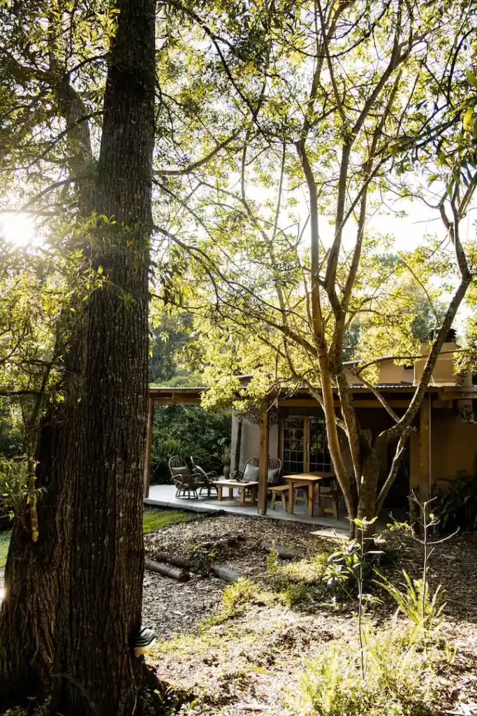 Sunlit forest cabin patio with empty wicker chairs and wooden tables, creating a serene off-season retreat vibe